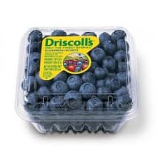 بلو بيري - علبة